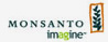 Monsanto India Ltd Monsanto India Ltd